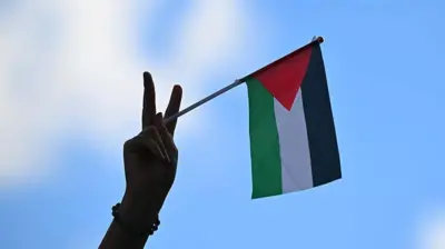 Рука с палестинским флажком на фоне неба